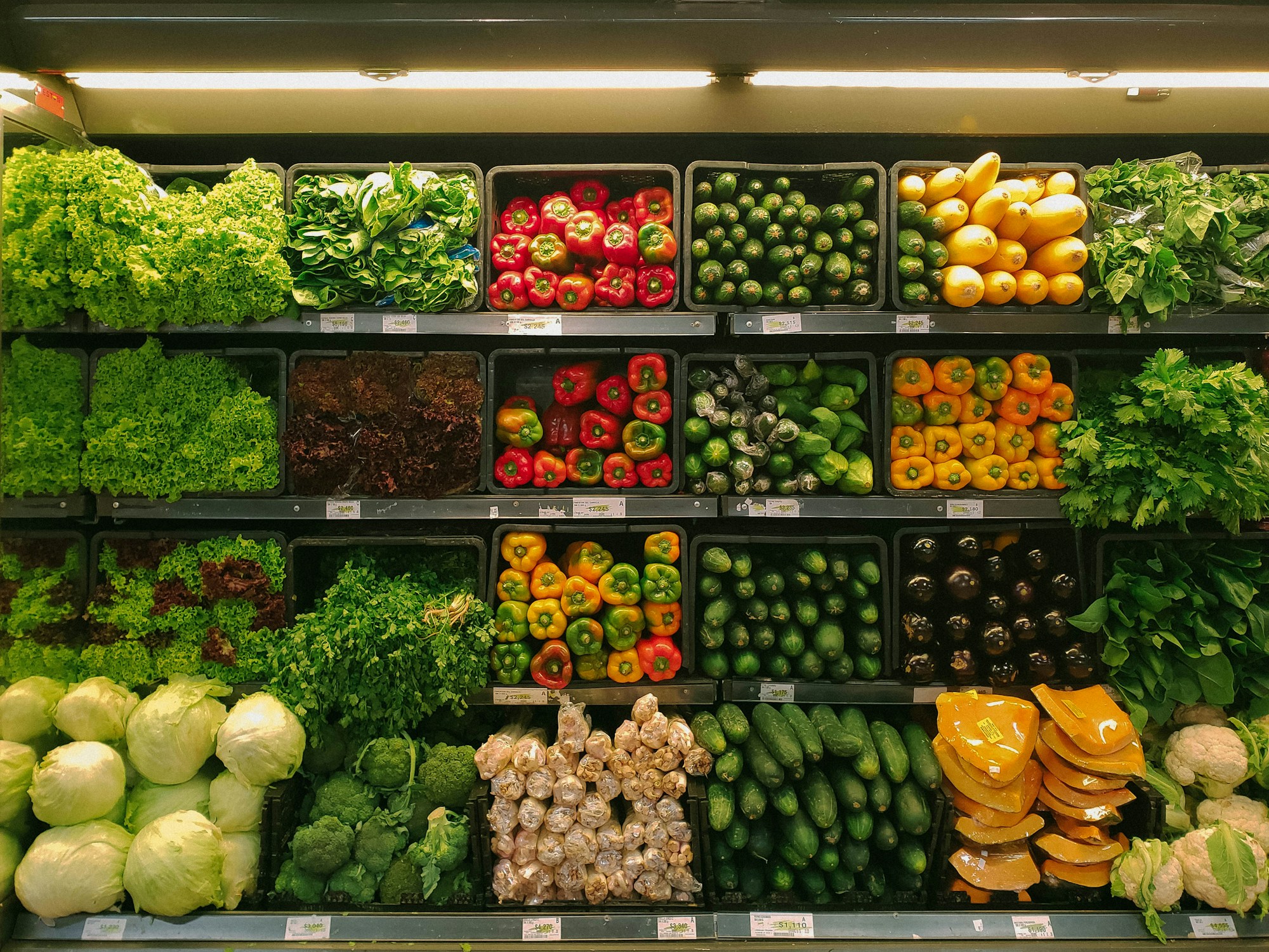 Alimentari e bevande